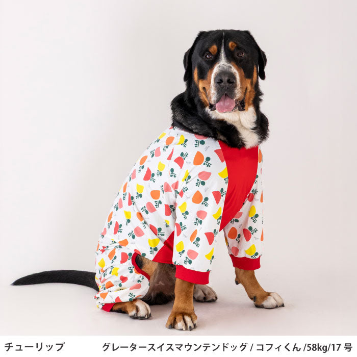 小型～超大型 ダックス 胴長 [全31size展開]<br>プリントクールロンパース チューリップ - VERY-PET