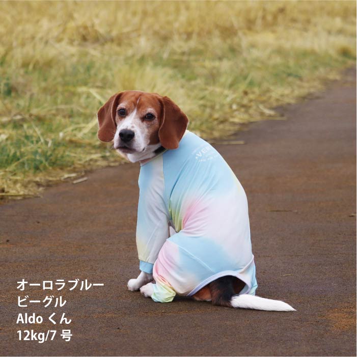 <font size="2">小型～超大型 ダックス 胴長 [全33size展開]</font><br>リラックスクールロンパース オーロラブルー - VERY-PET