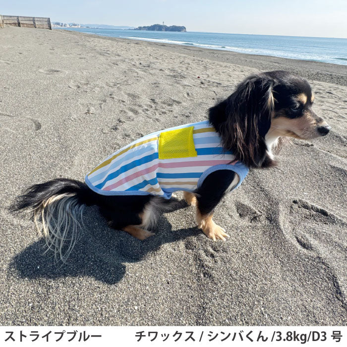小型～超大型 ダックス 胴長 [全23size展開]<br>プリントクールタンク ストライプブルー - VERY-PET