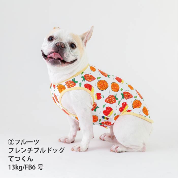 <font size="2">フレブル・パグ [全14size展開]</font><br>【コルナムコラボ】クールタンクトップ - VERY-PET
