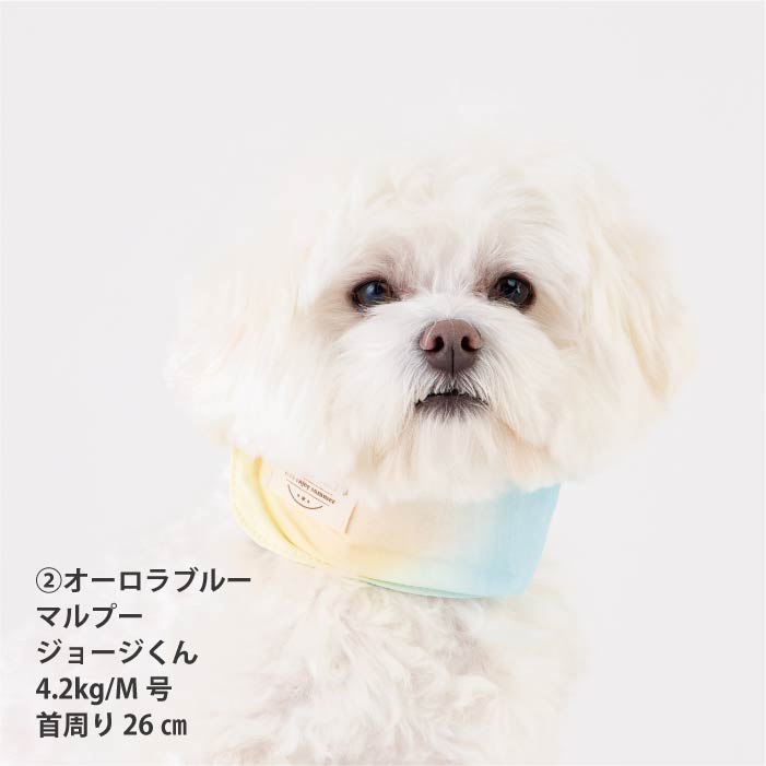 熱中症対策に！専用やわらか保冷剤付<br>保冷剤なしでもヒンヤリ！プリントCOOLバンダナ - VERY-PET
