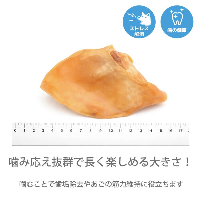 犬おやつ　国産豚耳スナック 7枚 - VERY-PET