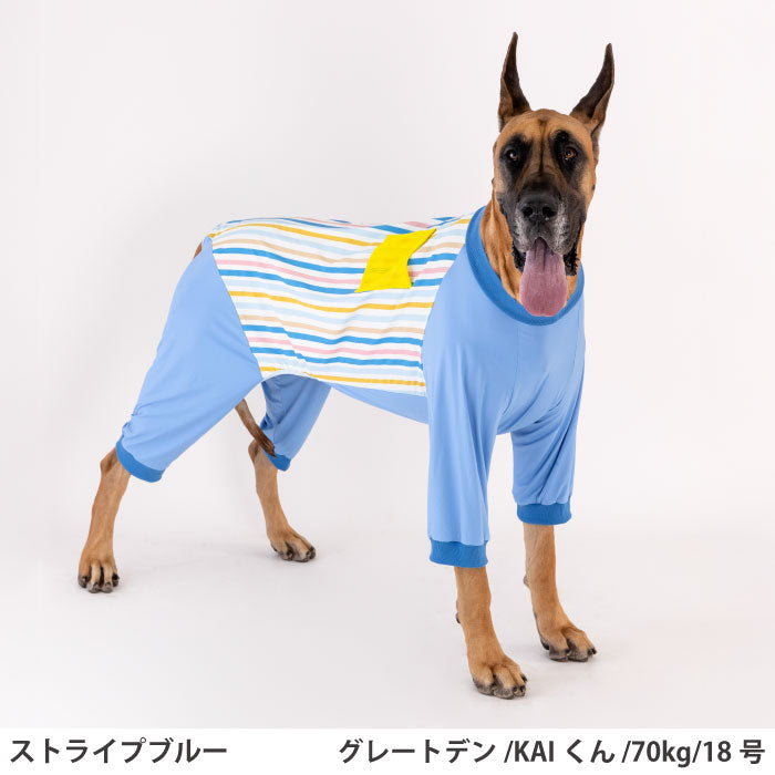 小型～超大型 ダックス 胴長 [全29size展開]<br>プリントクールロンパース ストライプブルー - VERY-PET