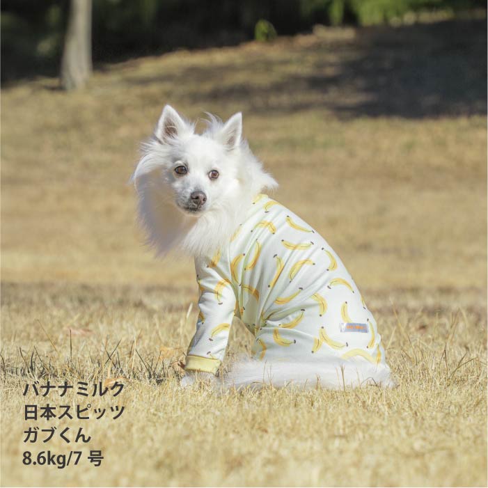 <font size="2">小型～超大型 ダックス 胴長 [全33size展開]</font><br>ポップクールロンパース バナナミルク