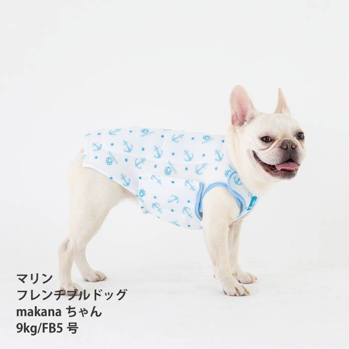 犬服クールベスト｜熱中症対策に最適なフレブル・パグ | VERY-PET
