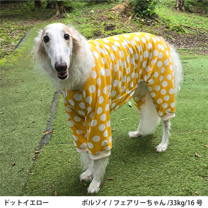 小型～超大型 ドットプリント裏毛ロンパース