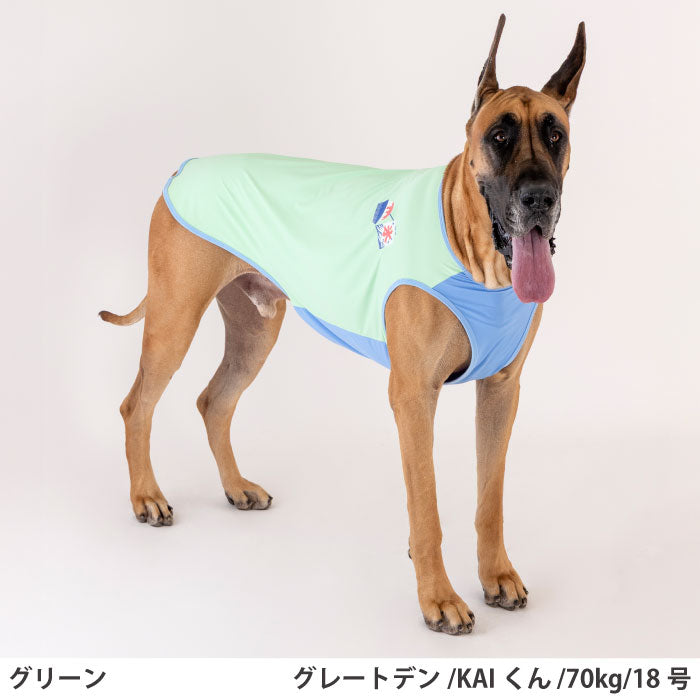 小型～超大型 ダックス 胴長 [全24size展開]<br>光るプリントクールタンク グリーン - VERY-PET