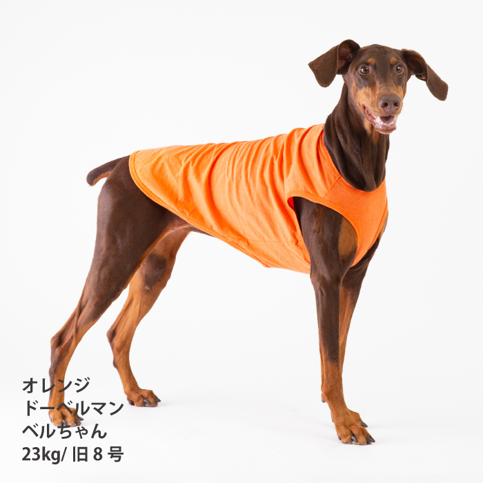 コットンタンクトップ　無地・ボーダー【綿100%】大型犬 - VERY-PET