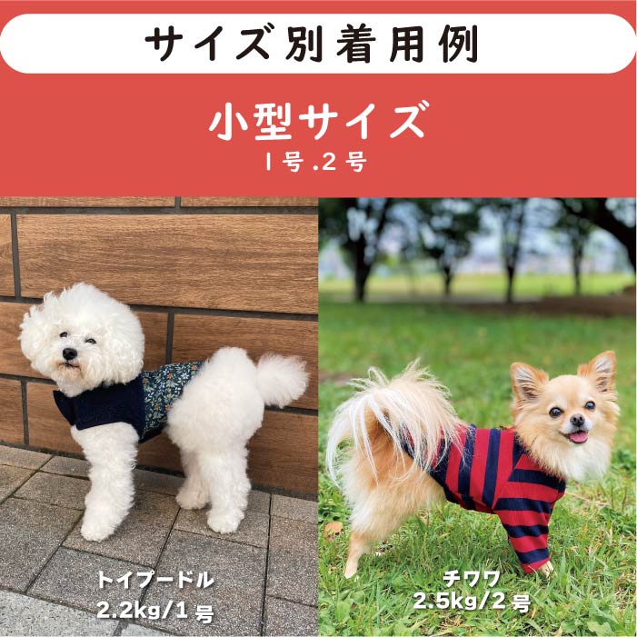Web限定福袋<br>小型犬8枚入<br>冬服・男女混合デザイン<br>※返品 交換不可