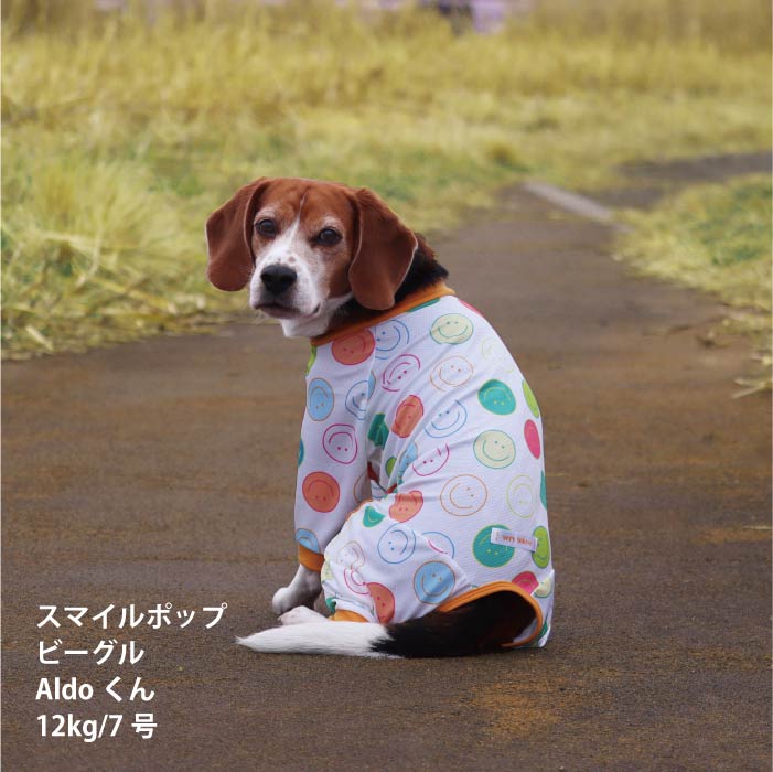 <font size="2">小型～超大型 ダックス 胴長 [全34size展開]</font><br>ポップクールロンパース スマイルポップ