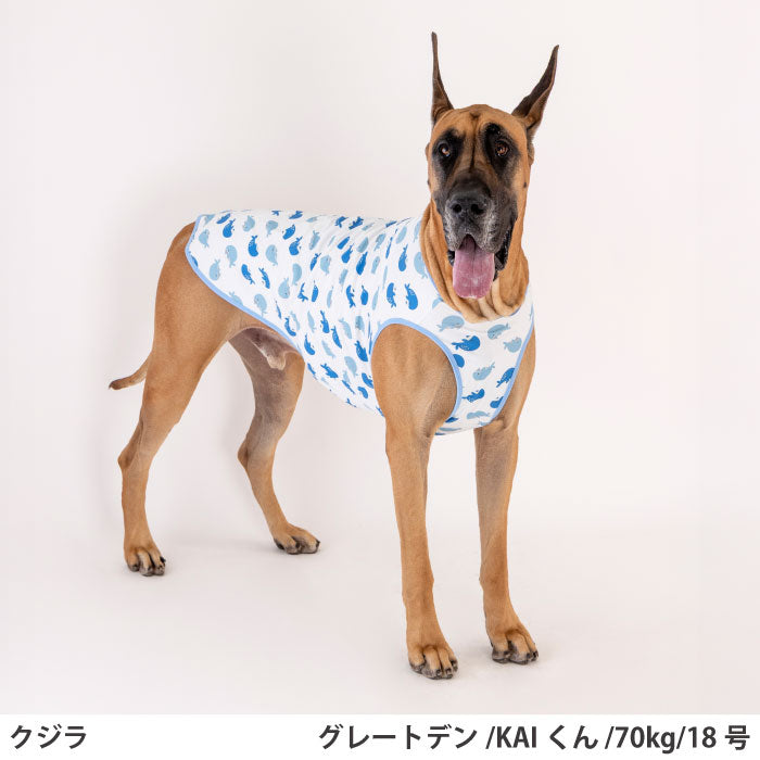 小型～超大型 ダックス 胴長 [全29size展開]<br>プリントクールタンク クジラ - VERY-PET