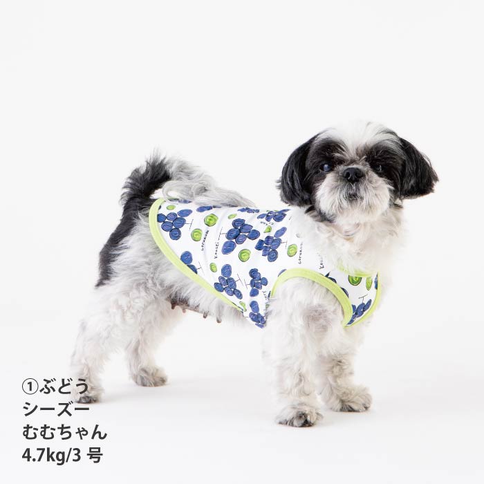 <font size="2">小型 中型 ダックス 胴長 [全14size展開]</font><br>【コルナムコラボ】クールタンクトップ - VERY-PET