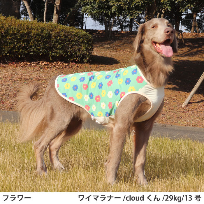 小型～超大型 ダックス 胴長 [全29size展開]<br>プリントクールタンク フラワー - VERY-PET