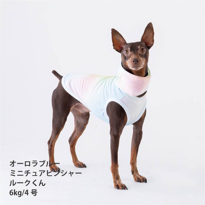 <font size="2">小型～超大型 ダックス 胴長 [全26size展開]</font><br>リラックスクールタンクトップ オーロラブルー - VERY-PET