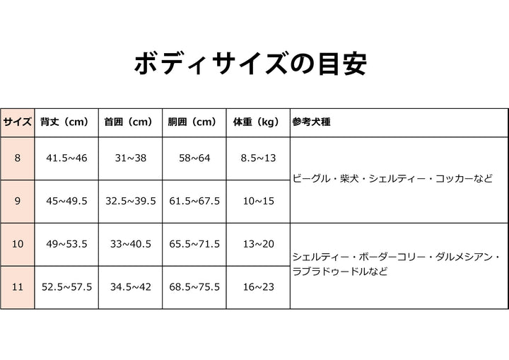 犬服 秋冬福袋  中型犬4枚入