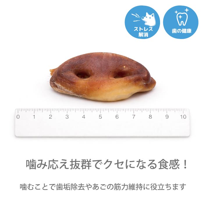 犬おやつ　国産豚鼻ハード 10個 - VERY-PET
