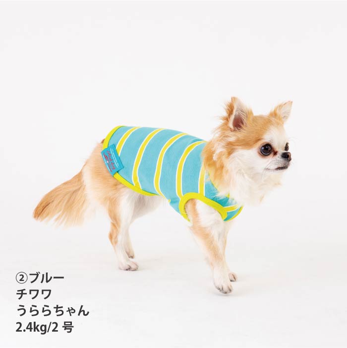 <font size="2">小型～超大型 ダックス 胴長 [全26size展開]</font><br>コットンボーダータンクトップ - VERY-PET