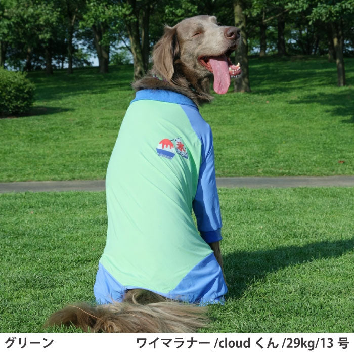小型～超大型 ダックス 胴長 [全30size展開]<br>光るプリントクールロンパース グリーン - VERY-PET
