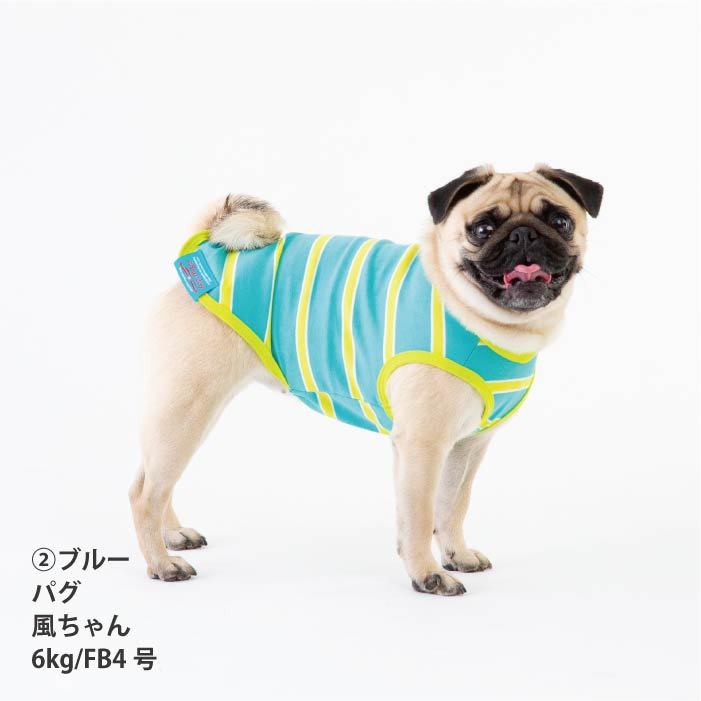 <font size="2">フレブル・パグ [全26size展開]</font><br>コットンボーダータンクトップ - VERY-PET