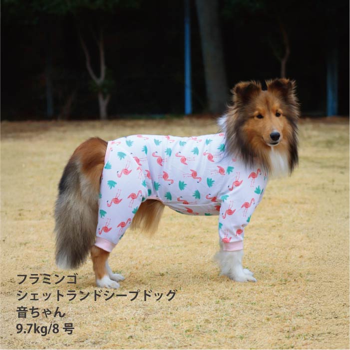 <font size="2">小型～超大型 ダックス 胴長 [全33size展開]</font><br>ポップクールロンパース フラミンゴ - VERY-PET