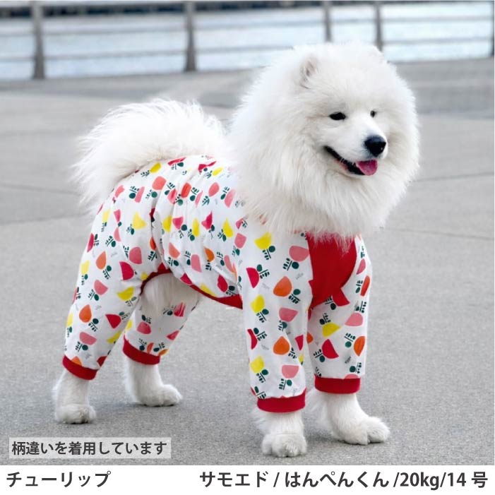中型～大型 [全8size展開]<br>プリントクールロンパース アボカド - VERY-PET