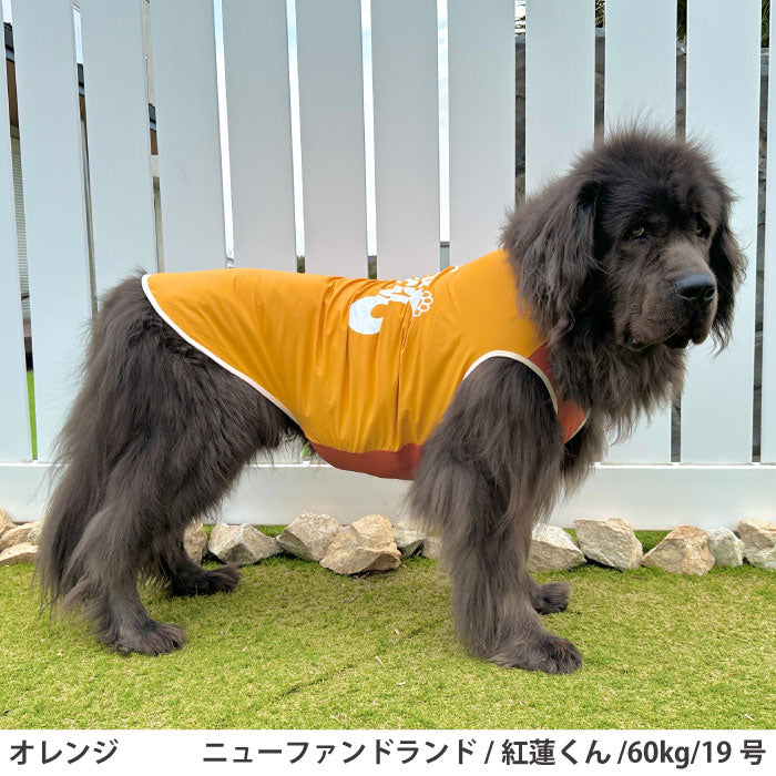 小型～超大型 ダックス 胴長 [全27size展開]<br>光るプリントクールタンク オレンジ - VERY-PET