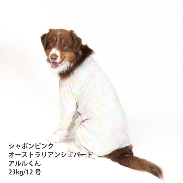 <font size="2">小型～超大型 ダックス 胴長 [全33size展開]</font><br>リラックスクールロンパース シャボンピンク - VERY-PET