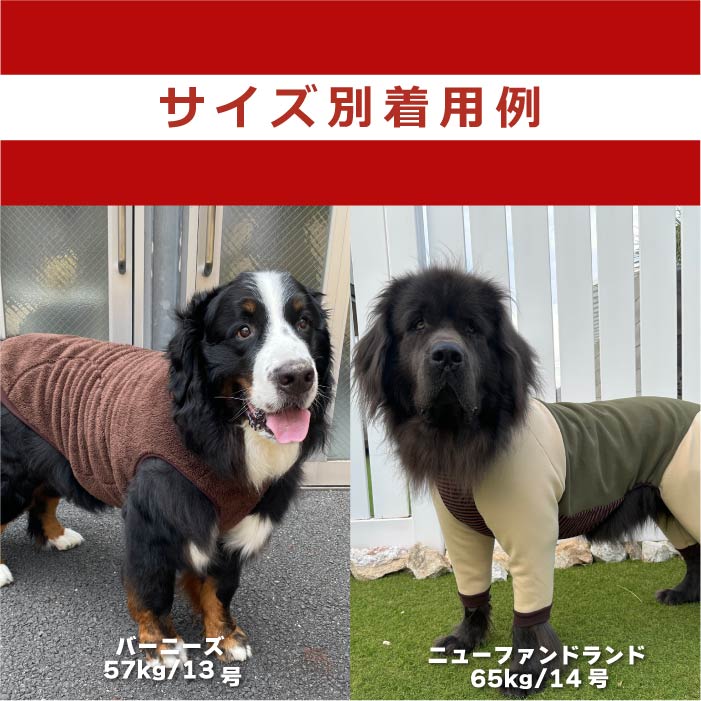 Web限定福袋<br>超大型犬3枚入<br>冬服・男女混合デザイン<br>※返品 交換不可