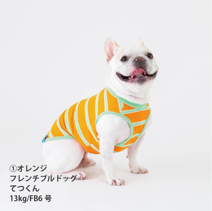 <font size="2">フレブル・パグ [全26size展開]</font><br>コットンボーダータンクトップ - VERY-PET