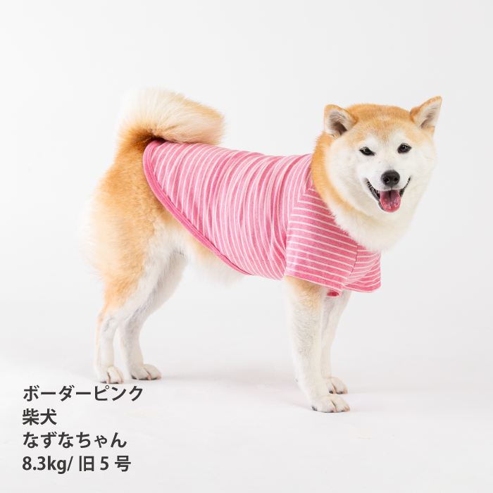 【綿100%】コットンTシャツ　小型犬・胴長・ダックス - VERY-PET