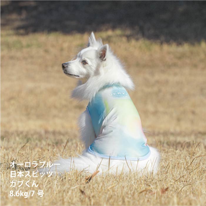 <font size="2">小型～超大型 ダックス 胴長 [全26size展開]</font><br>リラックスクールタンクトップ オーロラブルー - VERY-PET
