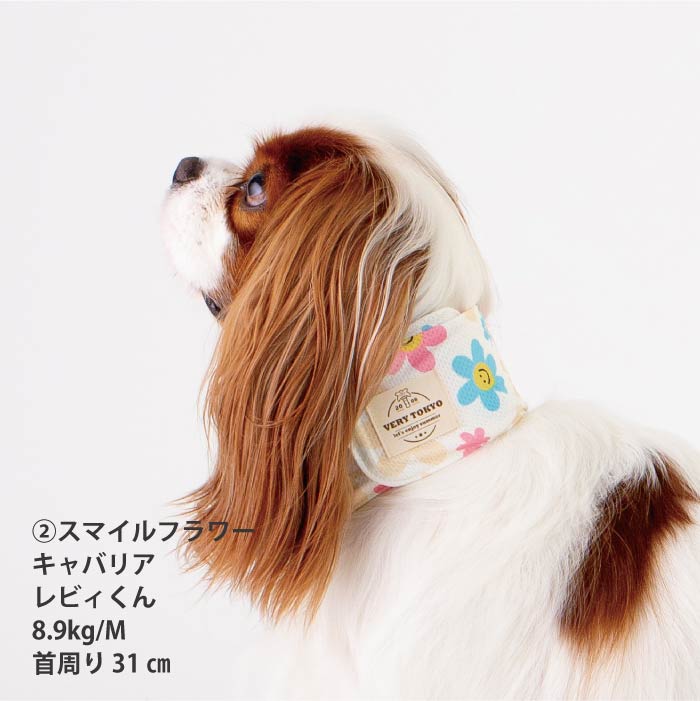 専用やわらか保冷剤付<br>保冷剤なしでもヒンヤリ！ポップデザインCOOLバンダナ
