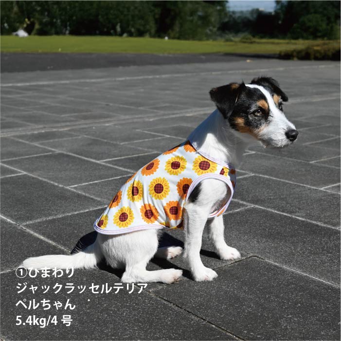 <font size="2">小型～超大型 ダックス 胴長 [全27size展開]</font><br>サマーデザインクールタンクトップ - VERY-PET