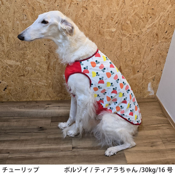 小型～超大型 ダックス 胴長 [全29size展開]<br>プリントクールタンク チューリップ - VERY-PET