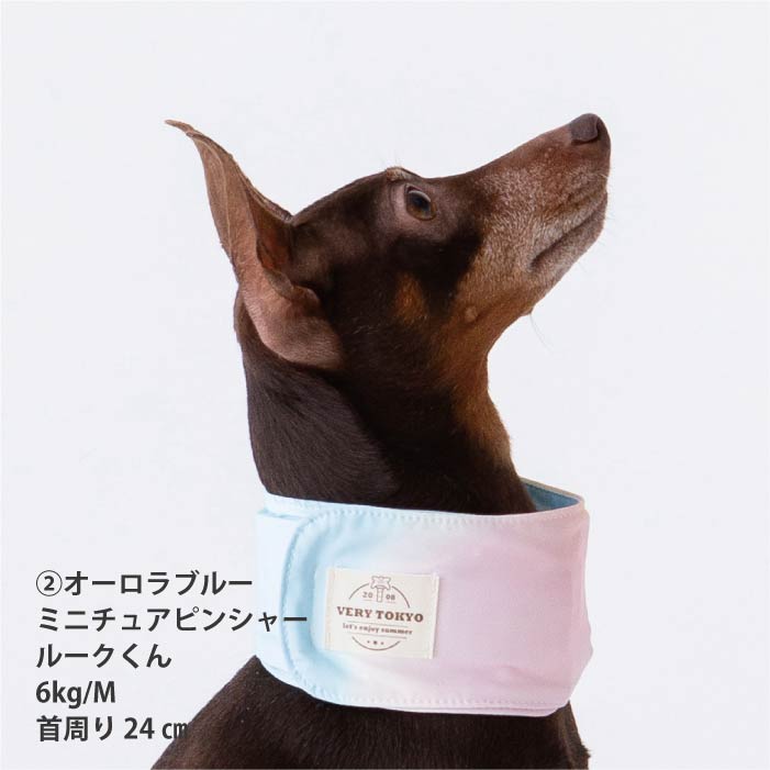 熱中症対策に！専用やわらか保冷剤付<br>保冷剤なしでもヒンヤリ！プリントCOOLバンダナ - VERY-PET