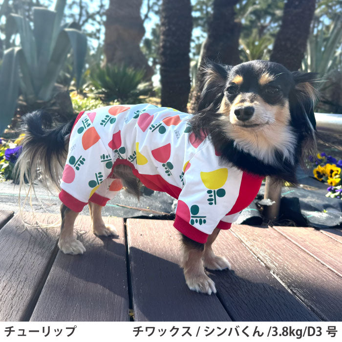 小型～超大型 ダックス 胴長 [全31size展開]<br>プリントクールロンパース チューリップ - VERY-PET