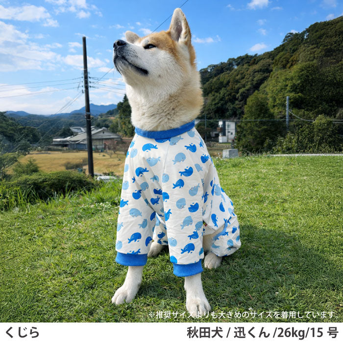 小型～超大型 ダックス 胴長 [全33size展開]<br>プリントクールロンパース クジラ - VERY-PET