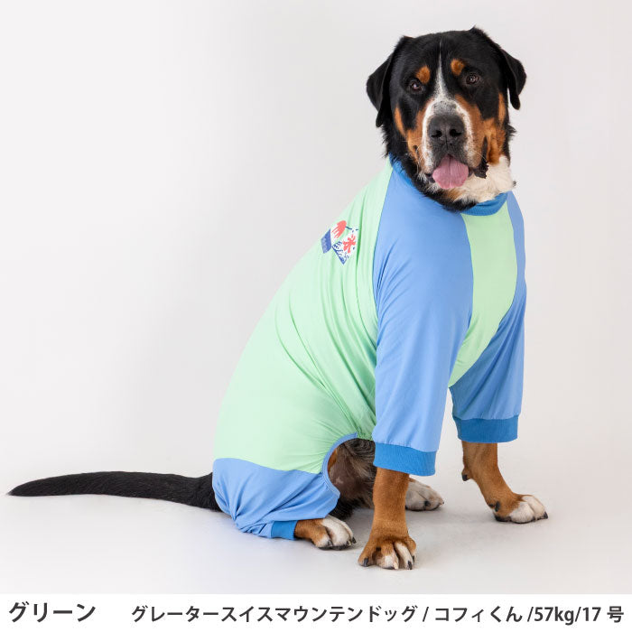 小型～超大型 ダックス 胴長 [全30size展開]<br>光るプリントクールロンパース グリーン - VERY-PET