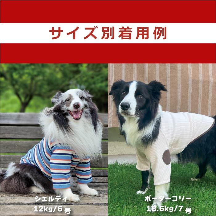 犬服　デザイン　フード付きタンクトップ　見本 犬服デザインフード付きタンクトップ見本