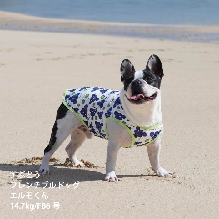 <font size="2">フレブル・パグ [全14size展開]</font><br>【コルナムコラボ】クールタンクトップ - VERY-PET