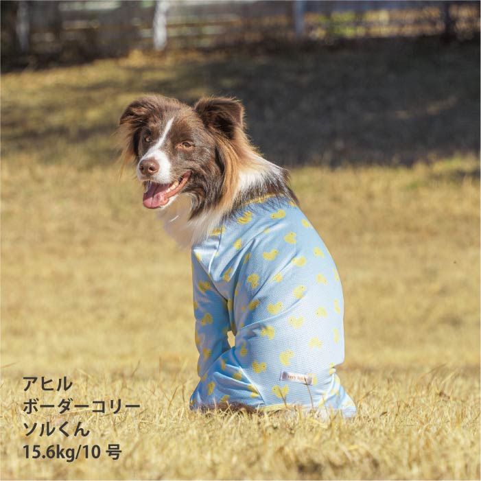 <font size="2">小型～超大型 ダックス 胴長 [全33size展開]</font><br>ポップクールロンパース アヒル - VERY-PET
