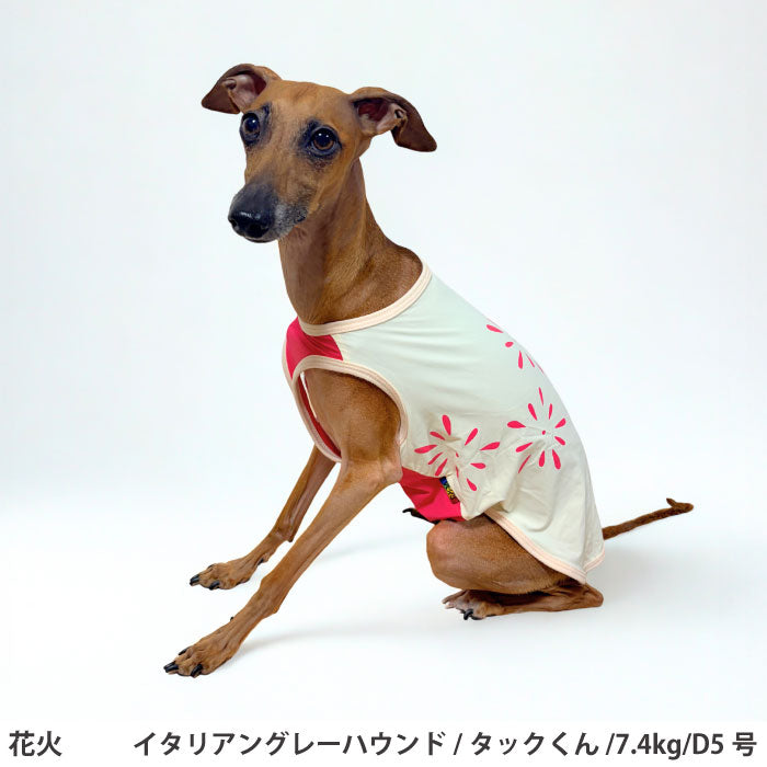 小型～超大型 ダックス 胴長 [全20size展開]<br>光るプリントクールタンク 花火 - VERY-PET