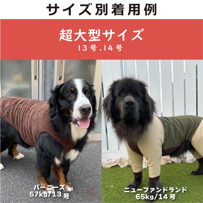 Web限定福袋<br>超大型犬3枚入<br>冬服・男女混合デザイン<br>※返品 交換不可 - VERY-PET