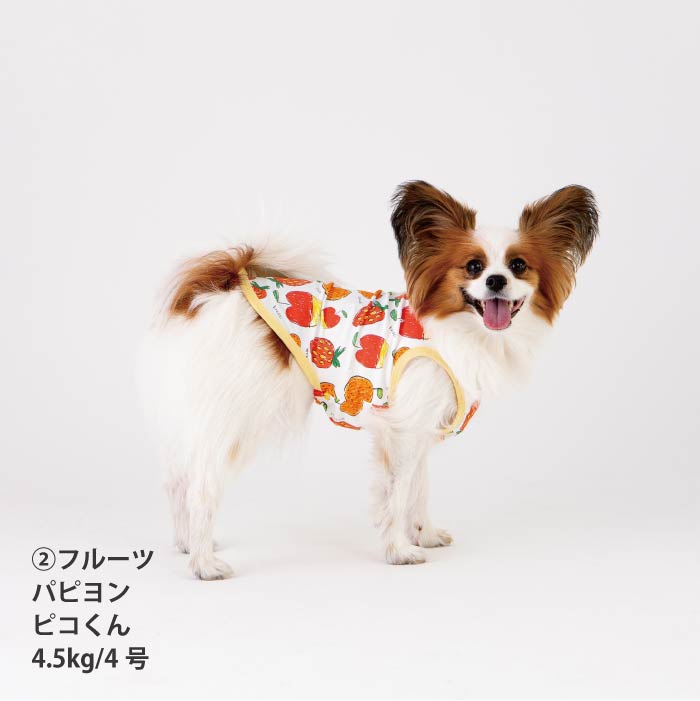 <font size="2">小型 中型 ダックス 胴長 [全14size展開]</font><br>【コルナムコラボ】クールタンクトップ - VERY-PET