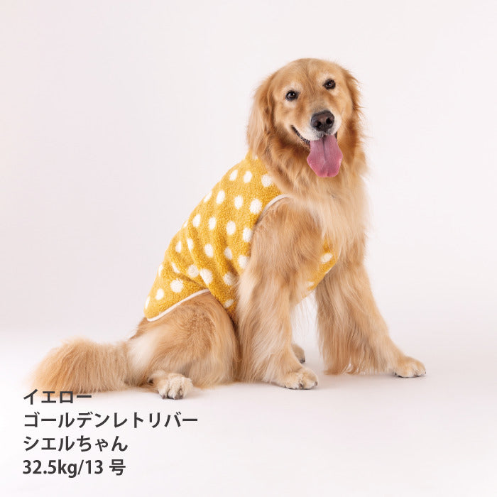 【スタイプレゼント対象商品】小型～大型 ダックス 胴長 [全20size展開]<br>背開きドットタンク
