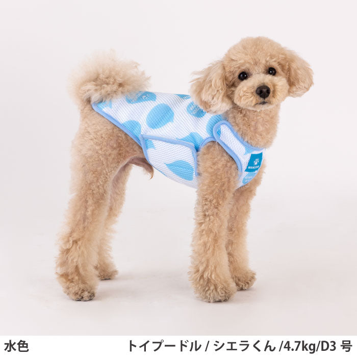 小型～超大型 ダックス 胴長 [全29size展開]<br>水に濡らすだけでひんやり快適 ワンクールウォーター - VERY-PET