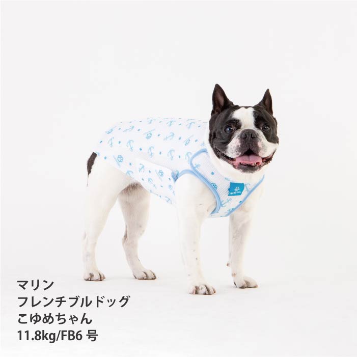 犬服クールベスト｜熱中症対策に最適なフレブル・パグ | VERY-PET