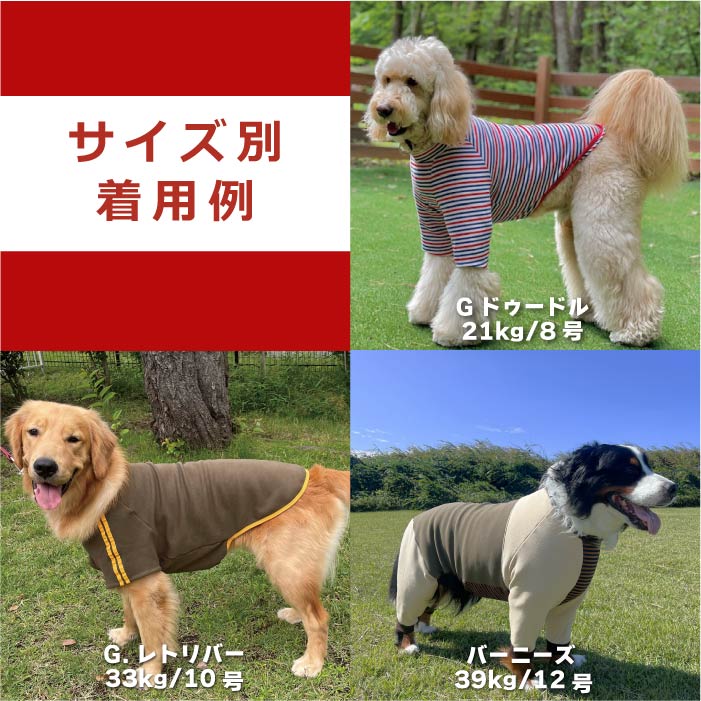 Web限定福袋<br>大型犬4枚入<br>冬服・男女混合デザイン<br>※返品 交換不可