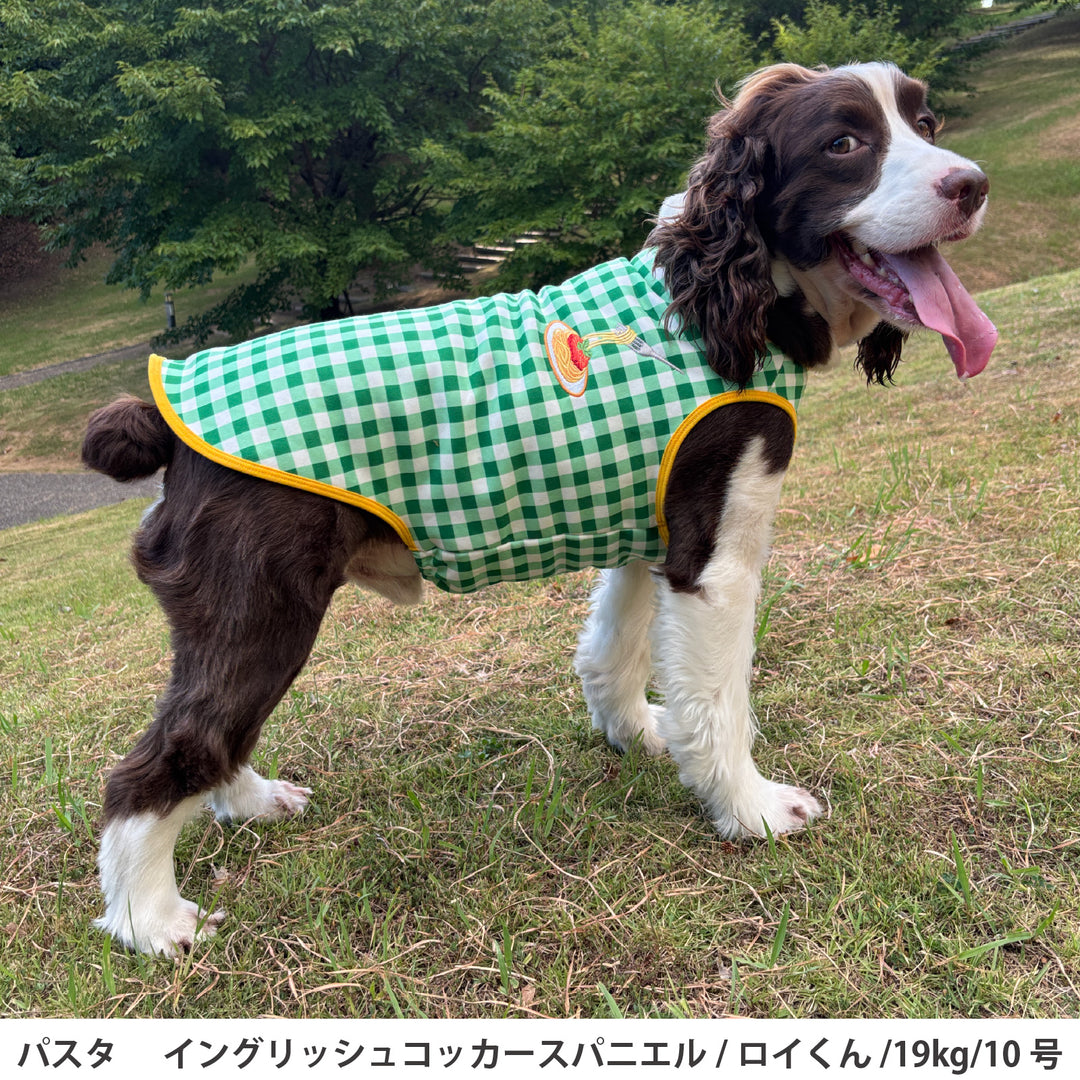 小型～大型 ミラノ風タンクトップ