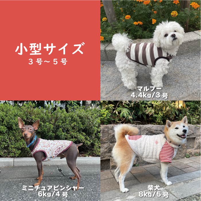 Web限定福袋<br>小型犬8枚入<br>冬服・男女混合デザイン<br>※返品 交換不可
